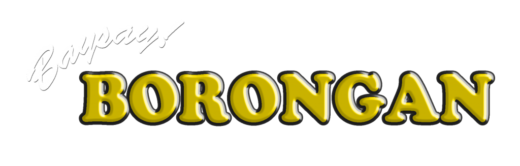 BAYSAY BORONGAN LOGO