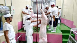 Read more about the article BORONGAN CITY SLAUGHTERHOUSE, GAGAMITON NA