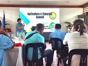 Read more about the article AGRICULTURE AND FISHERIES SUMMIT, GINPASILITARAN HAN LGU BORONGAN