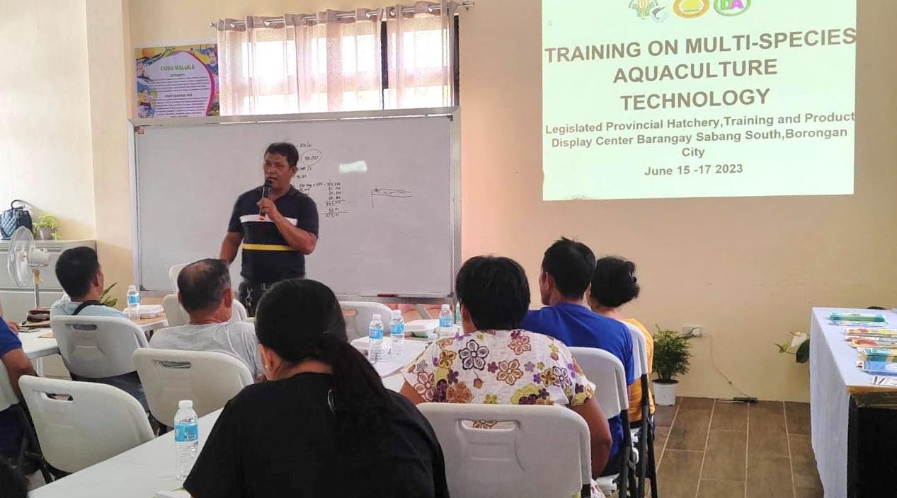 You are currently viewing TRAINING HAN BANGUS, TILAPIA NGAN URANG CULTURE, GINBUHAT HAN-BFAR HA SYUDAD HAN BORONGAN