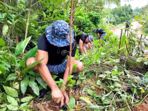 Read more about the article TREE PLANTING, GINDUMARA KASUMPAY HAN IKA-9 NGA ANNUAL ARBOR DAY