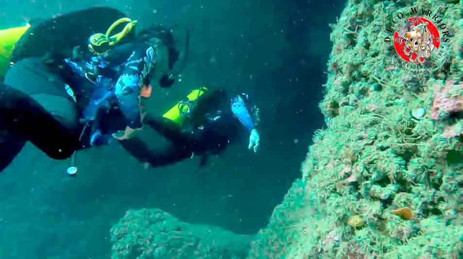 You are currently viewing DIVING PARADISE UNVEILED ON DIVINUBO ISLAND